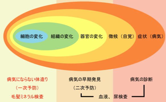 毛髪ミネラル検査