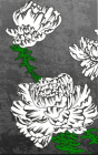 玄圃瑤華（げんぽようか）菊　　伊藤若冲
