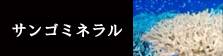 企業訪問　ワタナベエンタープライズ　サンゴミネラル